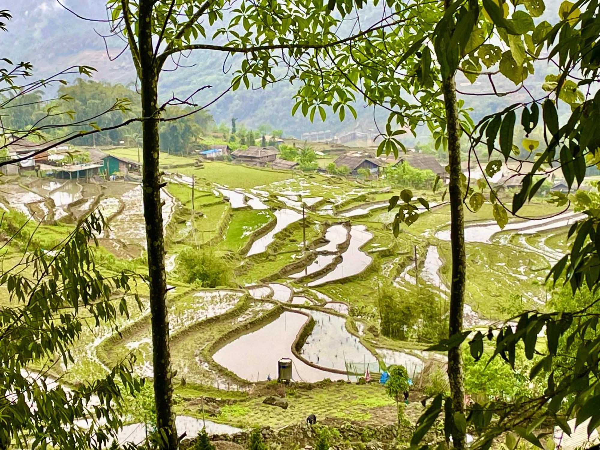 Sue Pa Family Trekking Homestay Sapa Exterior foto